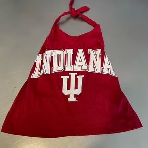 Indiana University tie halter
